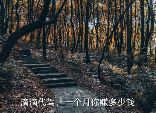 惠州代駕多少錢一個月,惠州代駕收入怎樣