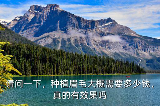 請問一下，種植眉毛大概需要多少錢，真的有效果嗎