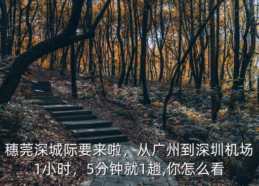 穗莞深城際要來啦，從廣州到深圳機(jī)場(chǎng)1小時(shí)，5分鐘就1趟,你怎么看