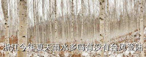 浙江的臺風有多少,浙江有臺風嗎