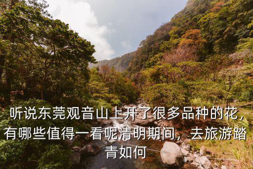 木棉花東莞哪里的漂亮,東莞哪里適合野炊和露營
