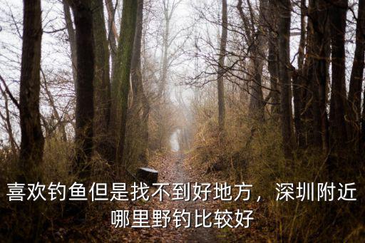深圳釣魚(yú)哪里味道最好,深圳附近哪里野釣比較好