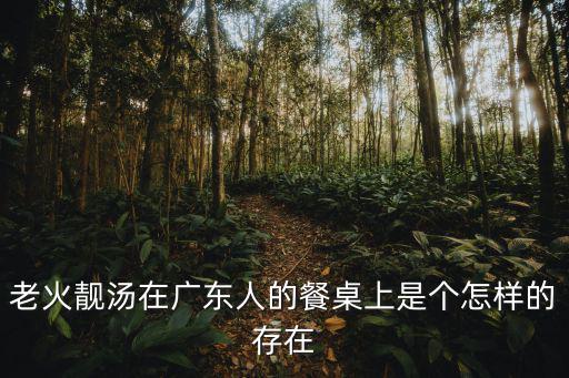 廣東老火靚湯是怎么來的,廣東人講的老火靚湯是什么