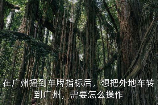 廣州怎么先搖號,如何參加廣州搖車牌號
