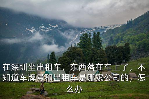 深圳出租車遺漏東西怎么辦,深圳出租車助手小程序上線