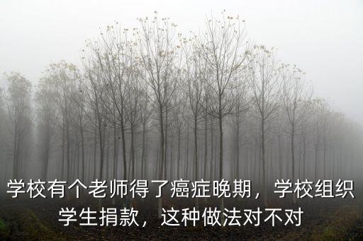 深圳學校捐款捐多少,劉強東向人大捐款3億