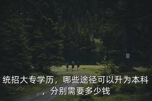 統(tǒng)招大專學(xué)歷，哪些途徑可以升為本科，分別需要多少錢