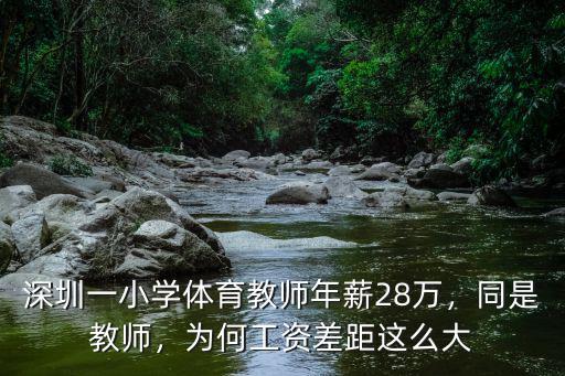 深圳一小學體育教師年薪28萬，同是教師，為何工資差距這么大