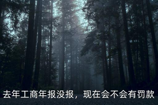 深圳工商年報兩年沒報罰款多少,去年工商年報沒報