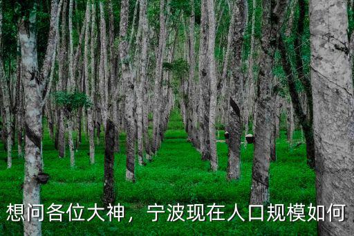 有寧波戶籍現在多少人口,寧波現在有多少套房子