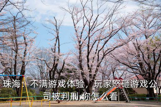 珠海：不滿游戲體驗，玩家怒砸游戲公司被判刑,你怎么看