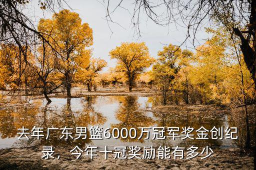 廣東cba冠軍獎金多少,CBA冠軍獎金多少