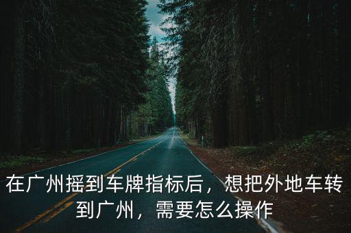 廣州車輛指表通過(guò)后怎么搖號(hào),在廣州搖到車牌指標(biāo)后