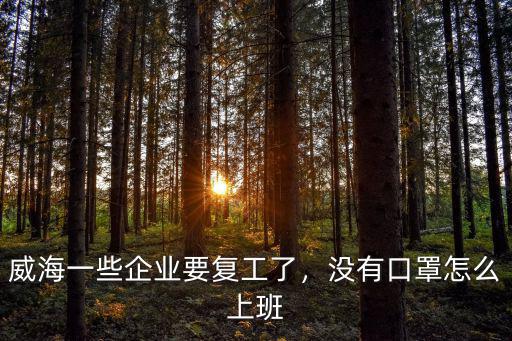 威海一些企業要復工了，沒有口罩怎么上班
