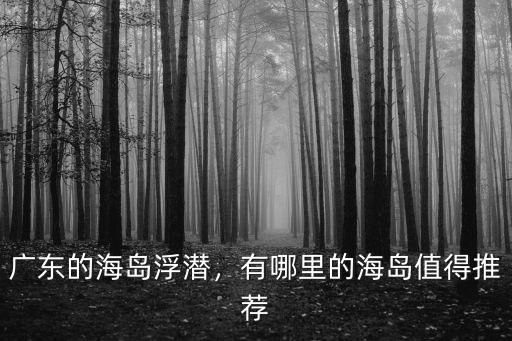 廣東哪里的潛水,廣東的海島浮潛