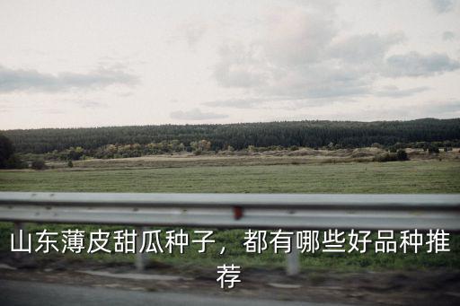 山東甜瓜有多少個品種,甜瓜的品種有哪些