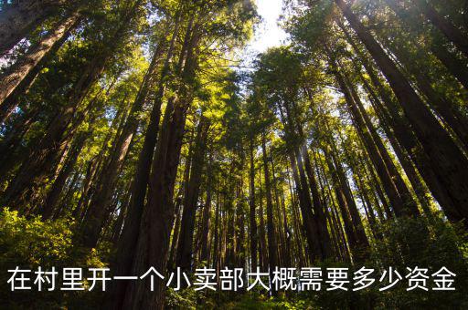 在村里開一個小賣部大概需要多少資金