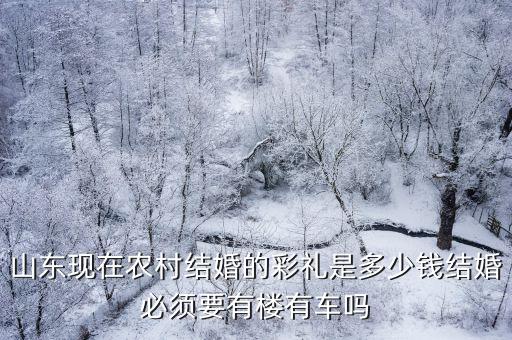山東現在農村結婚的彩禮是多少錢結婚必須要有樓有車嗎