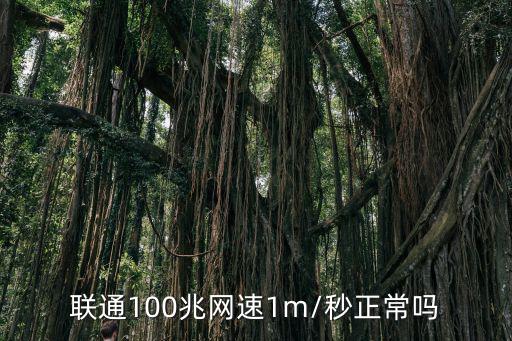 聯通100兆網速1m/秒正常嗎