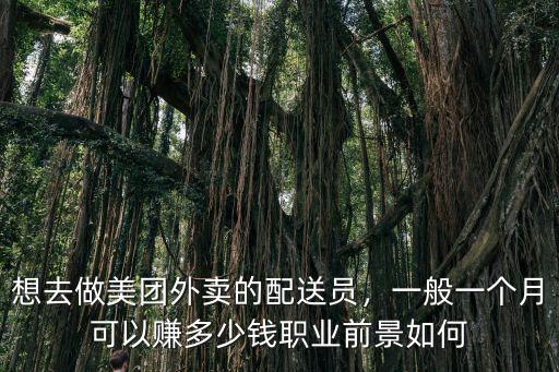 想去做美團(tuán)外賣(mài)的配送員，一般一個(gè)月可以賺多少錢(qián)職業(yè)前景如何