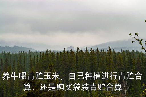養牛喂青貯玉米，自己種植進行青貯合算，還是購買袋裝青貯合算