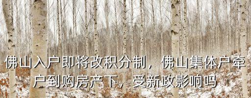 佛山入戶即將改積分制，佛山集體戶牽戶到購房產下，受新政影響嗎