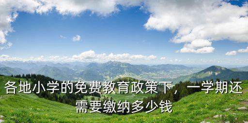 各地小學(xué)的免費(fèi)教育政策下，一學(xué)期還需要繳納多少錢