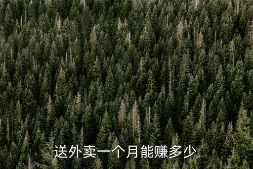 在寧波送外賣賺多少,外賣的送餐員