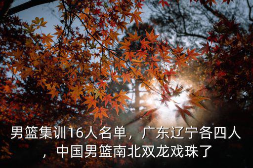 男籃集訓16人名單，廣東遼寧各四人，中國男籃南北雙龍戲珠了