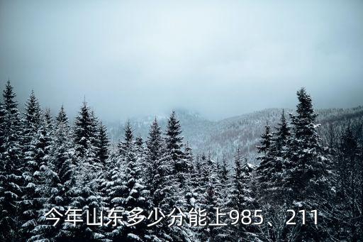 今年山東多少分能上985、211