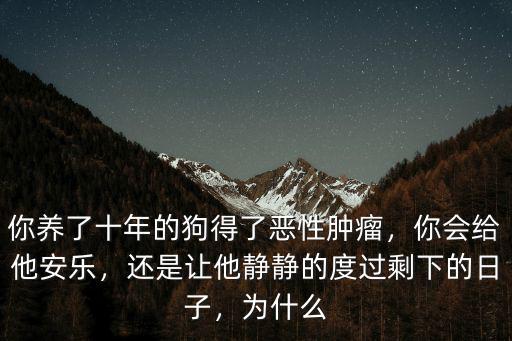 你養(yǎng)了十年的狗得了惡性腫瘤，你會給他安樂，還是讓他靜靜的度過剩下的日子，為什么