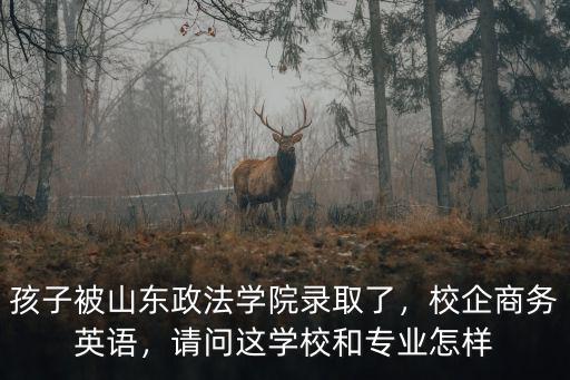 孩子被山東政法學(xué)院錄取了，校企商務(wù)英語，請(qǐng)問這學(xué)校和專業(yè)怎樣