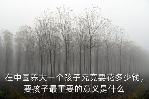 在浙江養(yǎng)大一個孩子要多少錢,養(yǎng)大一個孩子要花多少錢