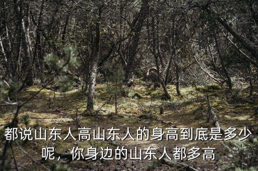 都說山東人高山東人的身高到底是多少呢，你身邊的山東人都多高