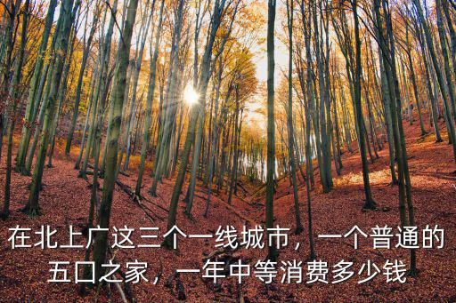 在北上廣這三個一線城市，一個普通的五囗之家，一年中等消費多少錢