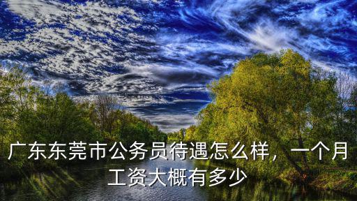 東莞市長安鎮服務員工資多少,廣東東莞市公務員待遇怎么樣