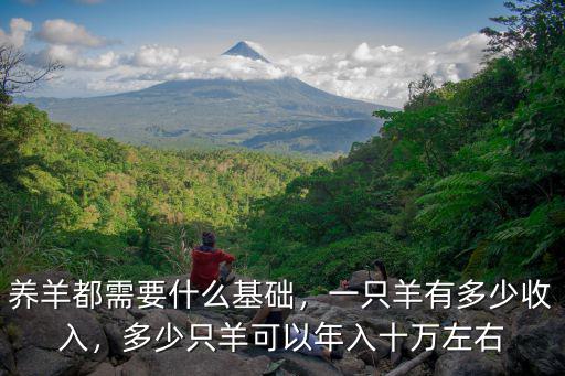 浙江小山羊多少錢一只,一只羊有多少收入