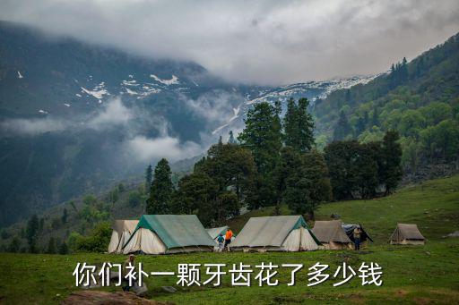 嘉興補牙最貴多少錢一顆,你們補一顆牙齒花了多少錢