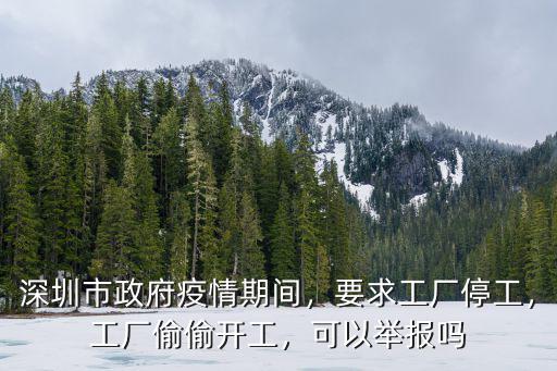 深圳市政府疫情期間，要求工廠停工，工廠偷偷開工，可以舉報嗎