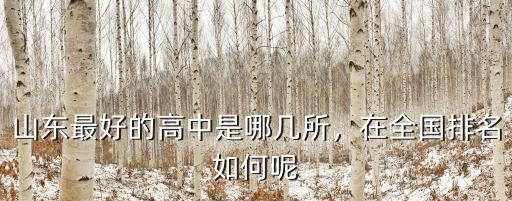 山東高中多少所,山東最好的高中是哪幾所