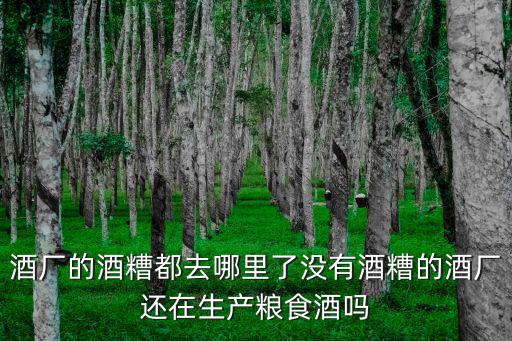 廣東哪里有收購酒糟,有大量酒糟沒有用處倒掉了