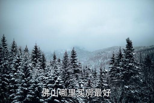佛山美麗家園房價哪里最好,哪里房子值得買