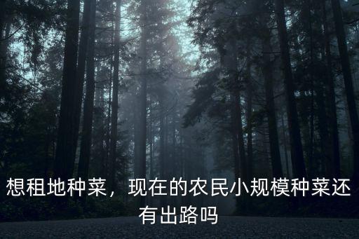 在佛山租地種菜一般多少錢一畝,想租地來種菜賣