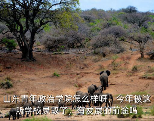 山東青年政治學(xué)院怎么樣呀，今年被這所學(xué)校錄取了，有發(fā)展的前途嗎
