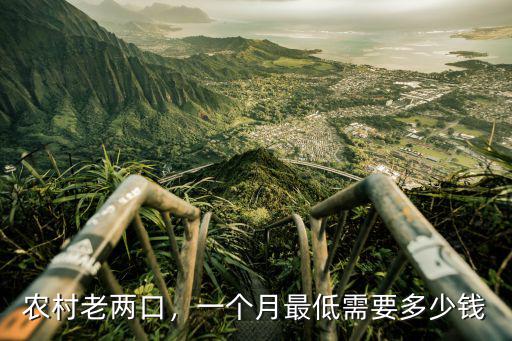 山東老人錢多少錢一個月,一個月最低需要多少錢
