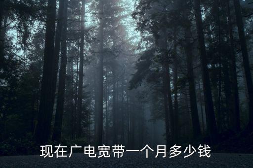 現在廣電寬帶一個月多少錢