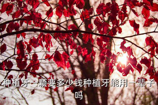 杭州種植牙多少錢一顆2020進口,種植牙一顆要多少錢