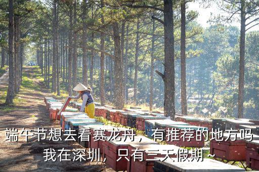 佛山端午節(jié)賽龍舟在哪里比賽,端午節(jié)為什么要賽龍舟呢