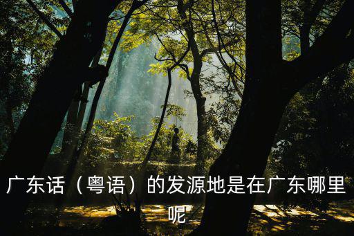 哪里可以買到正宗的廣東話,的發(fā)源地是在廣東哪里呢