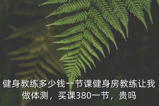 健身教練多少錢一節課健身房教練讓我做體測，買課380一節，貴嗎